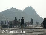 CK Shenkos, Egypt, Giza